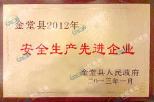 Jintang County Advanced Safety Production Enterprise in 2012